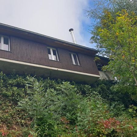 Ferienwohnung Auf Dem Bueckle Kleines Wiesental Exterior photo